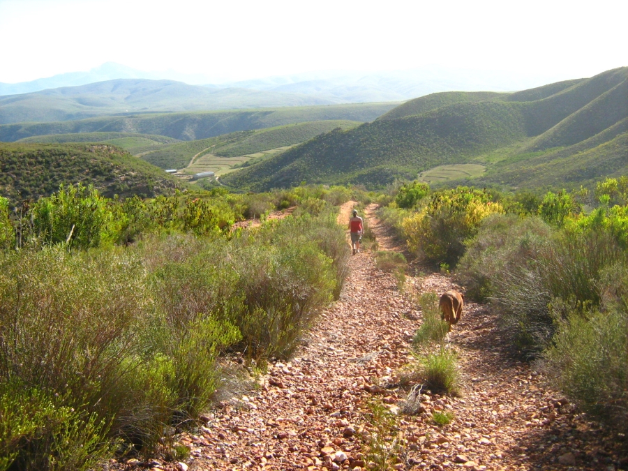 3 Bedroom Property for Sale in Joubertina Eastern Cape